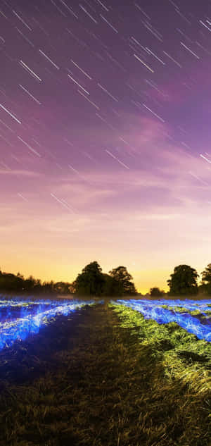 Background ng Galaxy S10 Plus — Xperia 1 Wallpaper