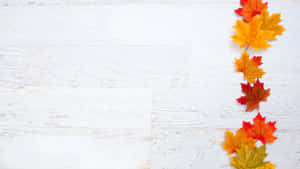 Background ng Thanksgiving na cute — Cute Thanksgiving Wallpaper