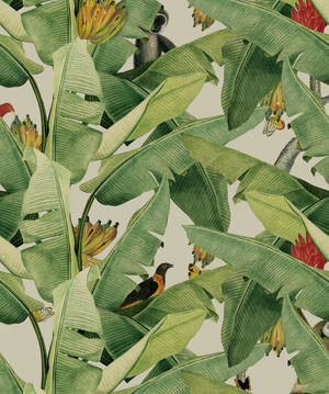 Banana Leaf Jungle Art wallpaper. — Apple Watch Wallpaper