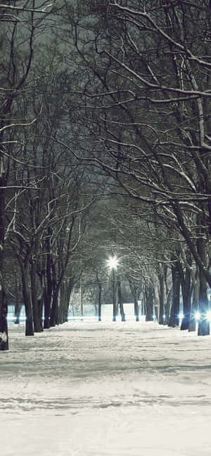 Iphone Xs Max Winter Background — iPhone 15 Pro Wallpaper