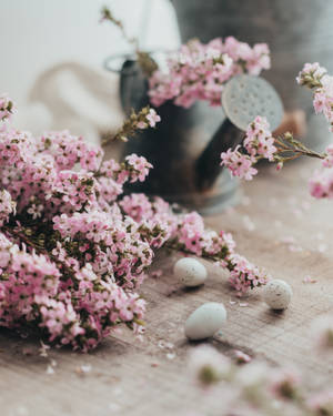 Puting itlog ng pugo ng Pasko na may rosas na bulaklak na may petal, wallpaper ng Pasko — 4:5 Wallpaper