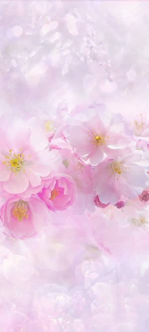Magagandang Spring — iPhone 15 Wallpaper
