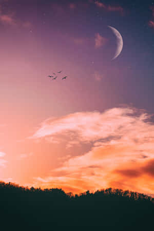 Magandang mga larawan — Magandang paglubog ng araw Wallpaper