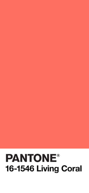 coral Background — Huawei Wallpaper