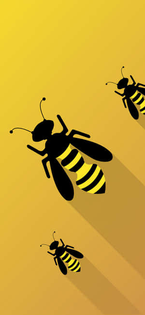 Bee Iphone — iPhone 15 Pro Wallpaper