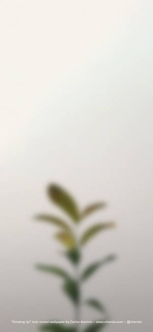 Beige Iphone — iPhone 14 Plus Wallpaper