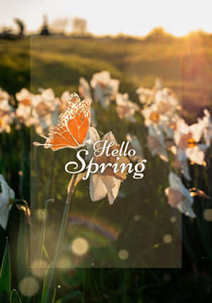 Pinakamagandang Spring Background — Vivo Pad5 Wallpaper