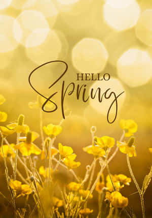 Pinakamagandang Spring Background — Vivo Pad5 Wallpaper