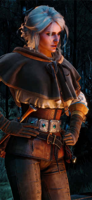 Pinakamahusay na Background ng The Witcher 3 — iPhone 15 Plus Wallpaper
