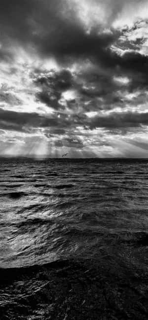 Black And White Iphone Pictures — iPhone 16 Wallpaper