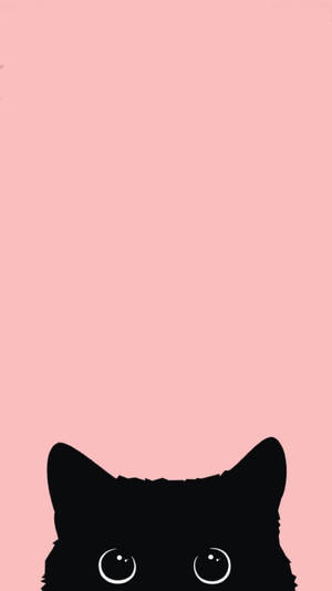 Black cat iPhone 12 wallpaper