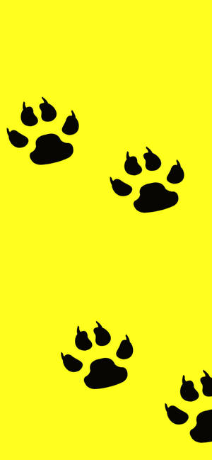 Itim na Paw Prints sa Dilaw mobile wallpaper — Galaxy S24 Wallpaper