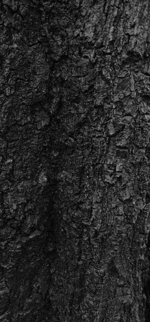 Itim-Textured na Balat ng Puno na Wallpaper — 1320x2868 Wallpaper