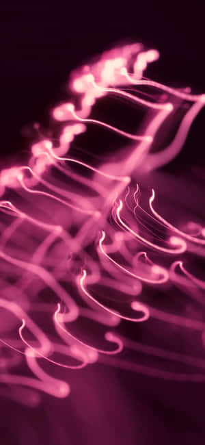 Dark Pink — Pixel 9 Pro XL Wallpaper