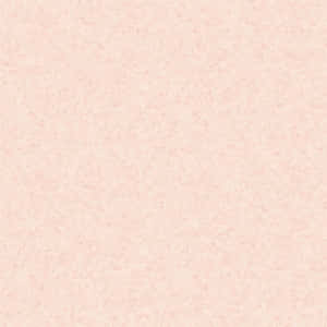 Blush Pink Background — iPad (A16) Wallpaper