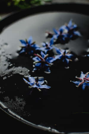 Borage Blue Flowers Phone — Huawei MatePad 11.5 (2026) Wallpaper