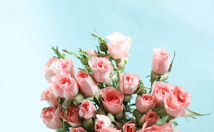 Bouquet Ng Mga Bulaklak Sa Pastel Pink Aesthetic
