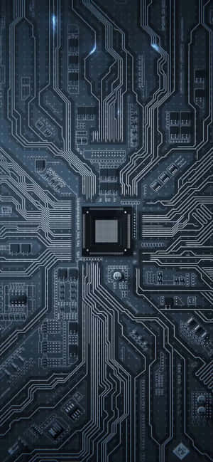 Lively — iPhone 11 Wallpaper
