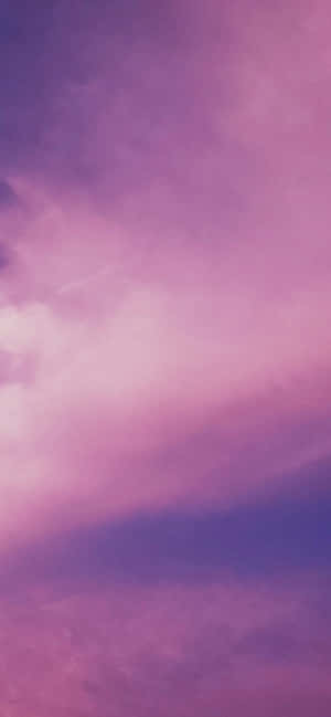 Lila at Pink Background — Galaxy S26 Wallpaper