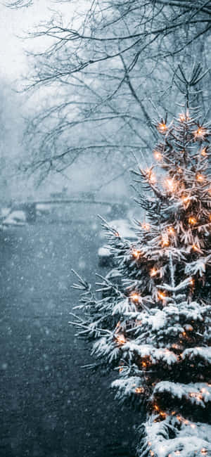 Background ng iPhone para sa Pasko — Huawei Wallpaper