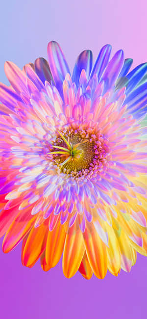 Rainbow Flower iPhone — Pixel 7 Wallpaper