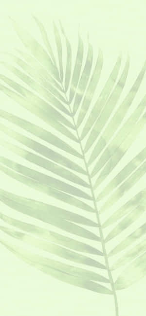 Green Aesthetic background — Redmi Note 14 Pro Wallpaper