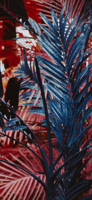 Plant Aesthetic Phone — Floral iPhone Wallpaper