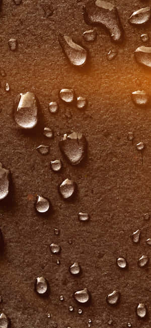 Bronze [wallpaper] — iPhone 12 Pro Max Wallpaper
