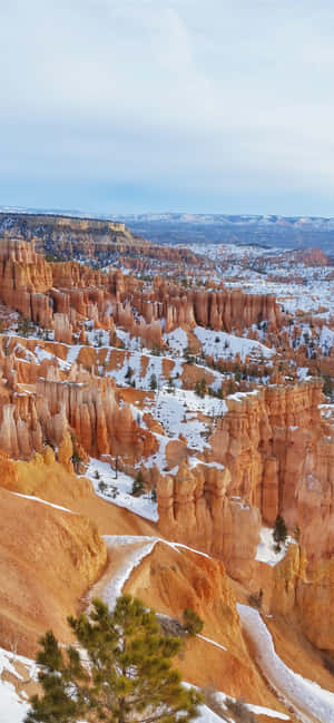 Bryce Canyon National Park Snow Shower — Samsung Galaxy S20 Wallpaper