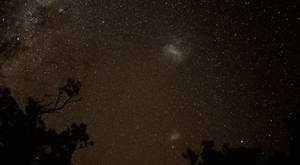 Buhay na Brown Galaxy