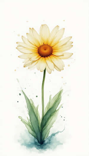 kagandahan,floral,bulaklak,kasarihan,flora,likas,spring,sariwa,closeup,payak,larawan,tanum — Floral Wallpaper