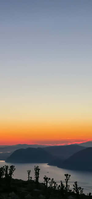 Iphone X California Background — iPhone 14 Plus Wallpaper