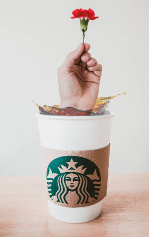 Kamay Starbucks iPhone — Moto Pad 70 Pro Wallpaper