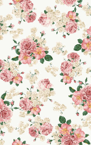 Pink na Bulaklak na Background — Pink Floral Wallpaper