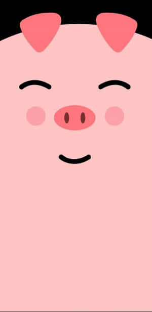 Kaakit-akit na Baboy background — Cute na baboy Wallpaper