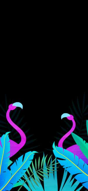 Pixel 3xl Amoled Background