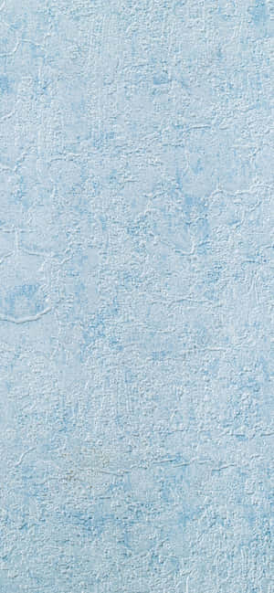 Baby Blue Background — iPhone 11 Wallpaper
