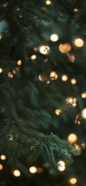 Background ng iPhone para sa Pasko — iPhone Xs Max Wallpaper