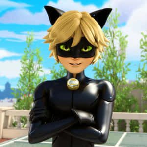 Mga larawan ni Cat Noir