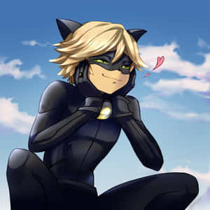 Mga larawan ni Cat Noir