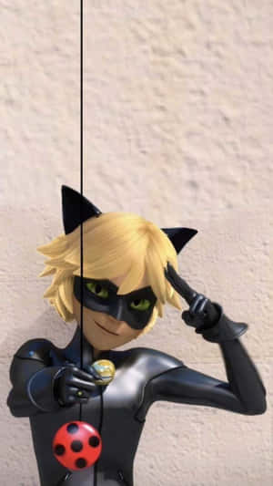 Mga larawan ni Cat Noir