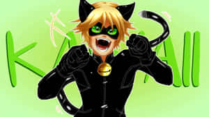 Mga larawan ni Cat Noir