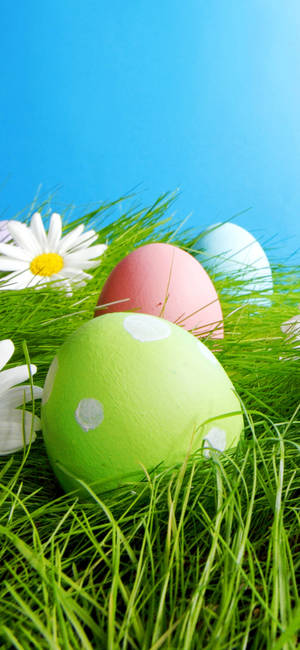 Easter Phone — iPhone 12 Pro Max Wallpaper