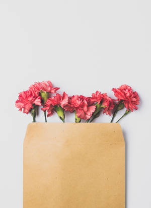 Maliit at cute na rosas na bulaklak wallpaper. — Bulaklak GIF Wallpaper