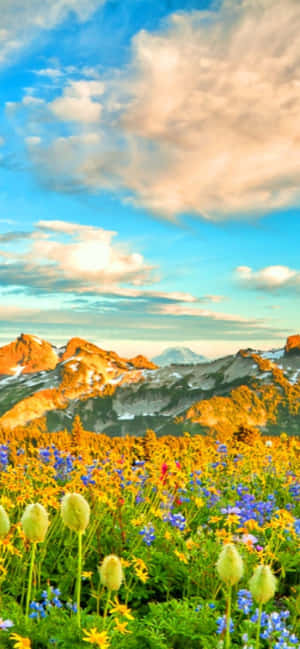 Pixel 3 Tagsibol Background — Galaxy S26 Wallpaper