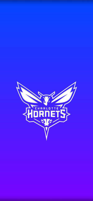 Charlotte Hornets Gradient Blue wallpaper — iPhone 17 Wallpaper