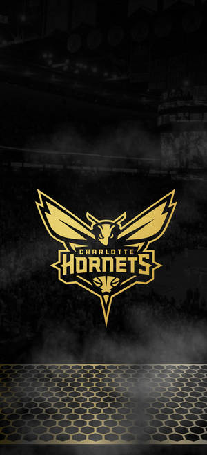 Charlotte Hornets sa itim wallpaper — 1080x2400 Wallpaper