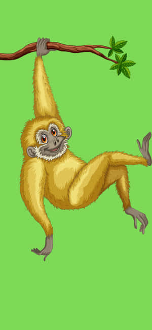 Iphone Xs Max Gibbon Background — iPhone Xs Max Wallpaper