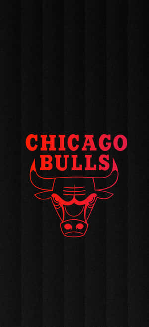 Chicago Bulls Phone — iPhone 17 Pro Max Wallpaper