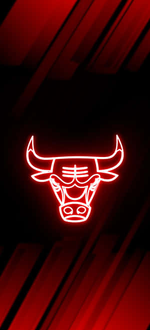 Chicago Bulls Phone — iPhone 13 Pro Max Wallpaper